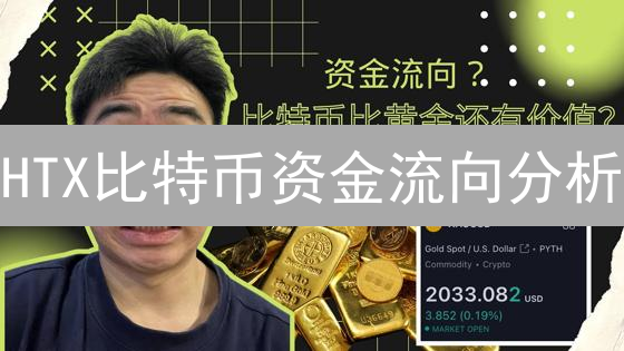 HTX比特币资金流向分析：洞察数字黄金的流动轨迹
