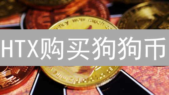 HTX购买狗狗币/以太坊终极指南：新手必看！速来！