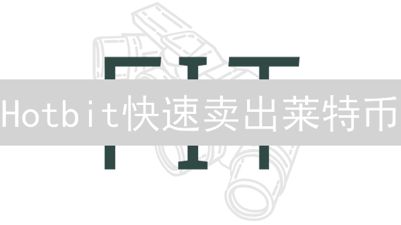 Hotbit快速卖出莱特币：交易指南与风险提示