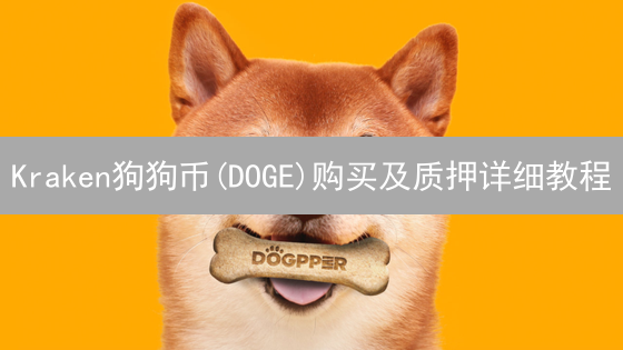 Kraken狗狗币(DOGE)购买及质押详细教程