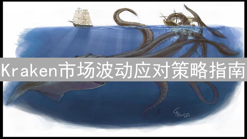 Kraken市场波动应对策略指南
