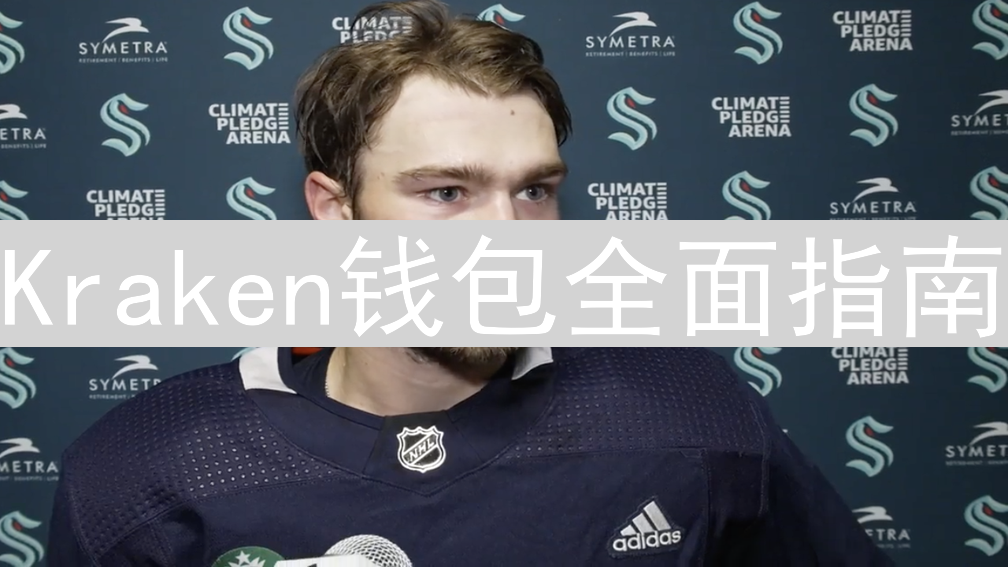 Kraken钱包全面指南：支持类型与安全管理策略