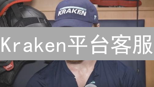 Kraken平台客服：高效沟通与问题解决指南