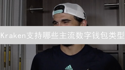 Kraken支持哪些主流数字钱包类型？深度解析与选择指南