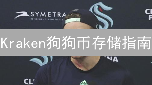 Kraken狗狗币存储指南：安全便捷管理您的数字资产