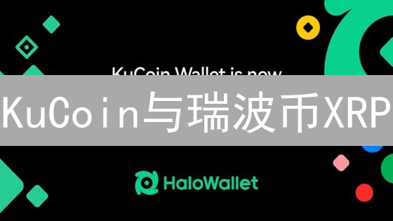 KuCoin与瑞波币XRP：交易所生态与支付协议深度对比