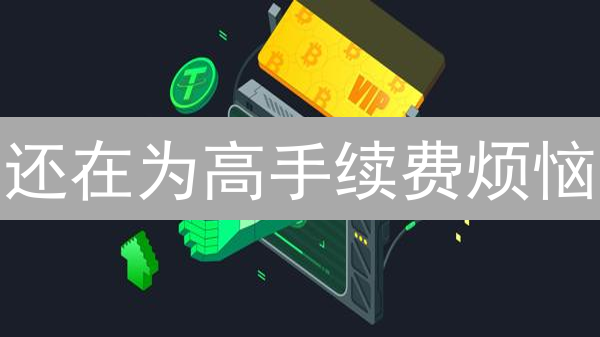 还在为高手续费烦恼？KuCoin VIP 特权大揭秘：如何省钱又赚钱？
