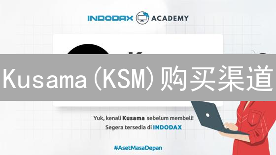 Kusama(KSM)购买渠道：Gemini之外的交易所选择