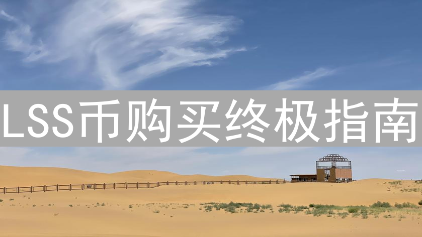 LSS币购买终极指南：新手到专家的进阶之路