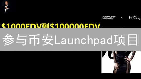 参与币安Launchpad项目：流程、准备与技巧分享