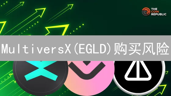 MultiversX(EGLD)购买风险：全面解析与应对策略
