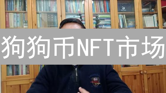 狗狗币NFT市场：新手指南与高级交易技巧解析