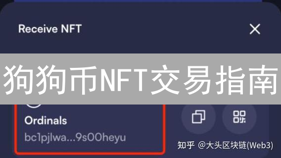 狗狗币NFT交易指南：入门、技巧与收益提升