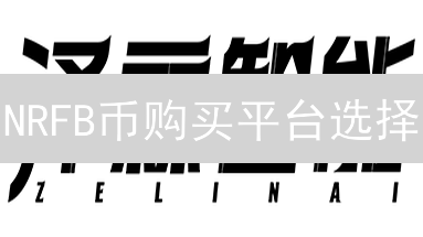 NRFB币购买平台选择：中心化与去中心化交易所对比分析