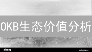 OKB生态价值分析：欧易平台币的未来展望与投资策略