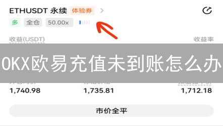 OKX欧易充值未到账怎么办？2024最新解决指南！