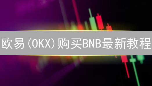 欧易(OKX)购买BNB最新教程：新手指南与风险提示【2024】