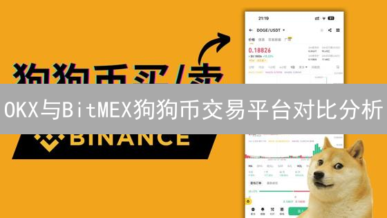 OKX与BitMEX狗狗币交易平台对比分析：选择哪个更好？