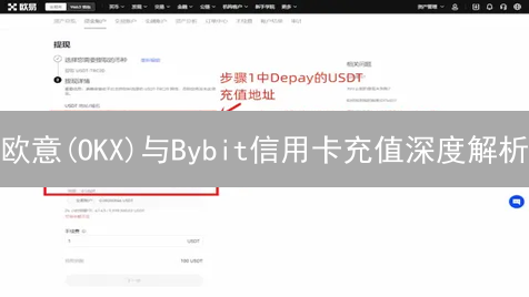 欧意(OKX)与Bybit信用卡充值深度解析：策略与费用