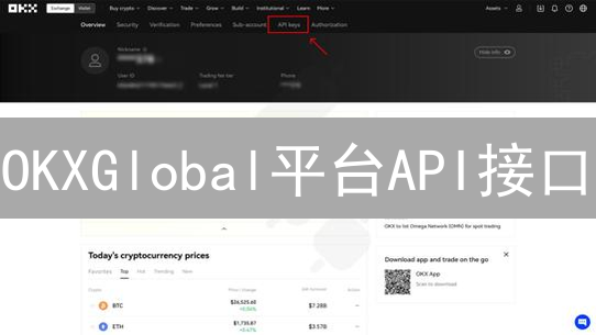 OKXGlobal平台API接口：连接数字资产世界的桥梁
