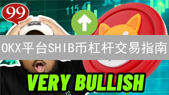 OKX平台SHIB币杠杆交易指南：风险与步骤详解