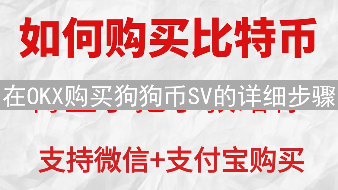 在OKX购买狗狗币SV的详细步骤