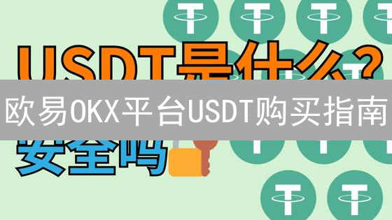欧易OKX平台USDT购买指南：新手入门教程