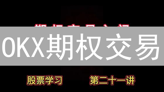 OKX期权交易：探索加密货币衍生品投资的奥秘