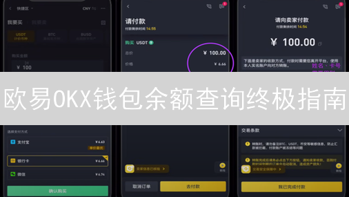 欧易OKX钱包余额查询终极指南：安全掌握你的加密资产