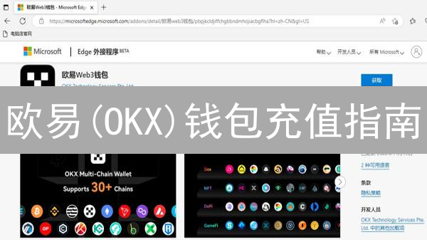 欧易(OKX)钱包充值指南：新手入门与技巧精通