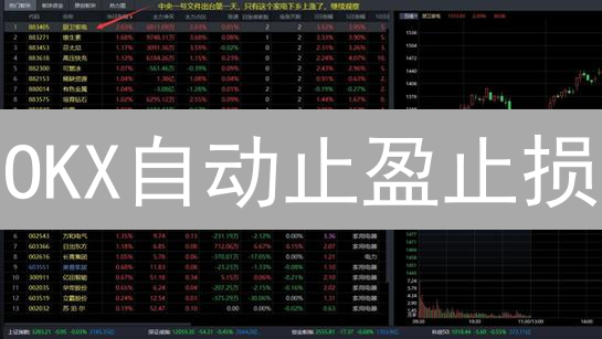 OKX自动止盈止损：策略、设置与实战指南