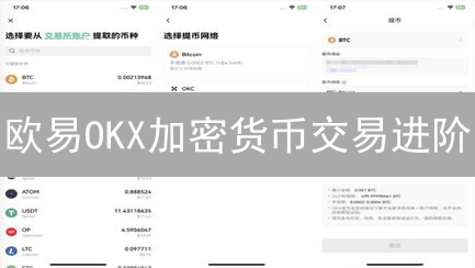 欧易OKX加密货币交易进阶：技巧提升与策略优化