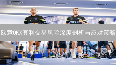 欧意OKX套利交易风险深度剖析与应对策略