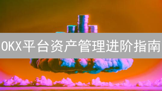 OKX平台资产管理进阶指南：账户概览、资金调配与余币宝策略
