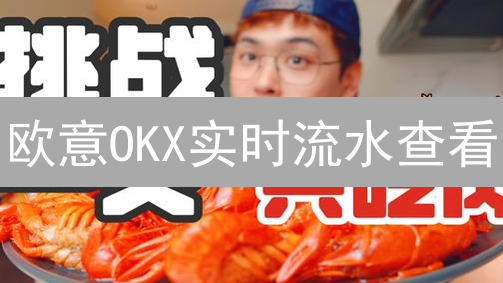 欧意OKX实时流水查看：交易记录全面解析