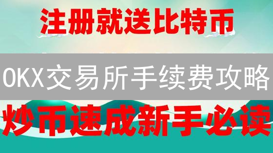 OKX交易所手续费攻略：优惠、等级与省钱技巧