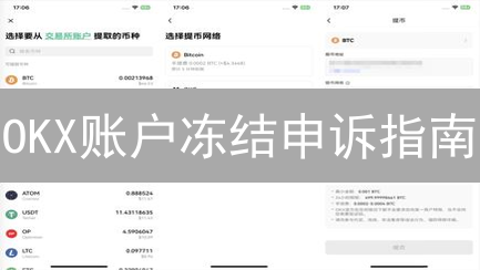 OKX账户冻结申诉指南：原因、准备与流程详解