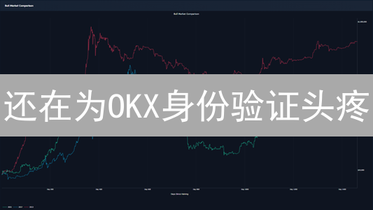 还在为OKX身份验证头疼？这份超全指南让你一次搞定！