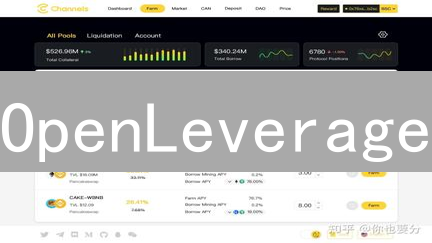 OpenLeverage：DeFi杠杆交易新纪元与开放金融基础设施