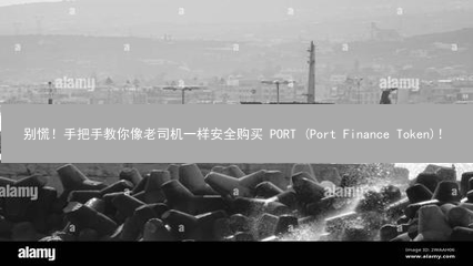 别慌！手把手教你像老司机一样安全购买 PORT (Port Finance Token)！
