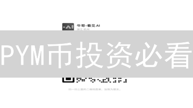 PYM币投资必看：六大安全购买指南，降低风险！