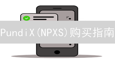PundiX(NPXS)购买指南：Gemini替代方案详解