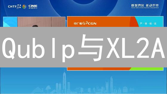 Qublp与XL2A：火币交易规则下的加密货币交易猜想