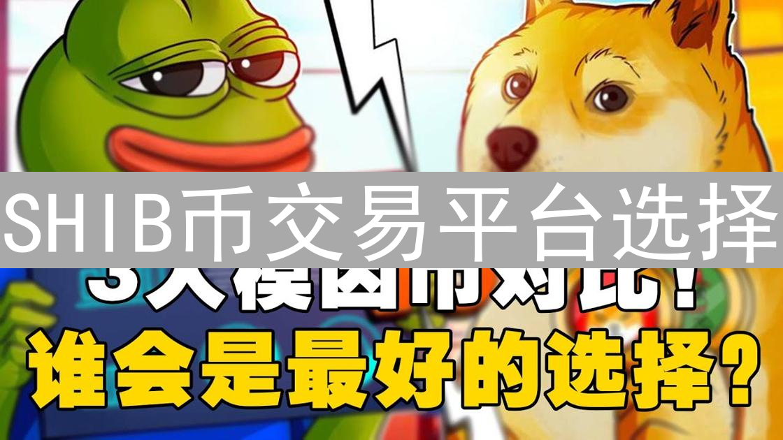 SHIB币交易平台选择：Bigone与Bitmex优劣势深度分析