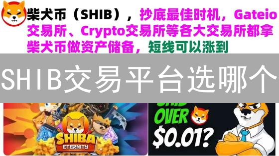 SHIB交易平台选哪个？Coinbase、Bitfinex交易费用、安全性深度对比！