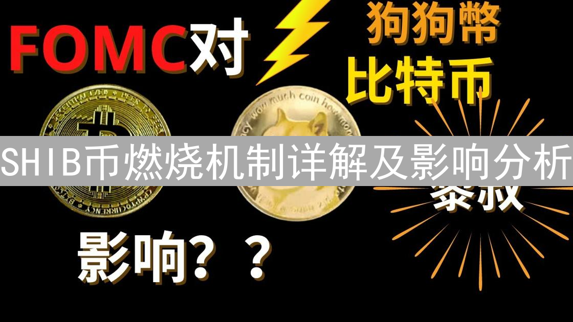 SHIB币技术分析与未来市场预测