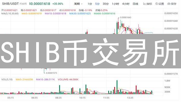 SHIB币交易所：加密货币投资者必看指南