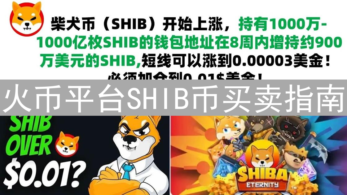 火币平台SHIB币买卖指南：步骤详解与安全须知