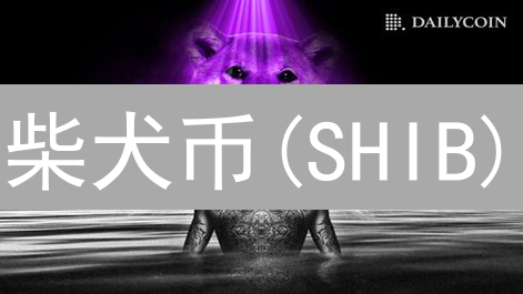 柴犬币(SHIB)：迷因文化、社群力量与加密货币的未来