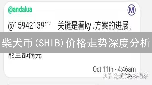 柴犬币(SHIB)价格走势深度分析：从迷因文化到价值探索